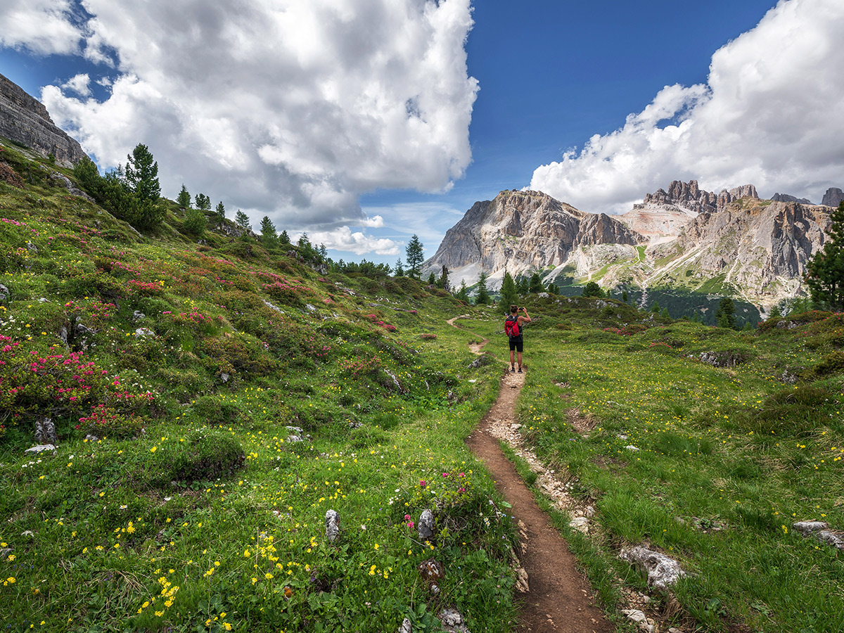 dintorni dolomiti