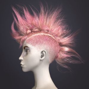 grooming render
